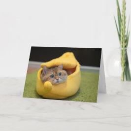 Tarjeta Hosico y banana