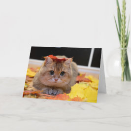 Tarjeta Hosico y hojas amarillas
