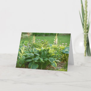 Tarjeta Hosta