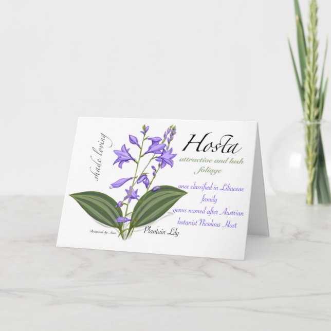Tarjeta Hosta Blank (Anverso)