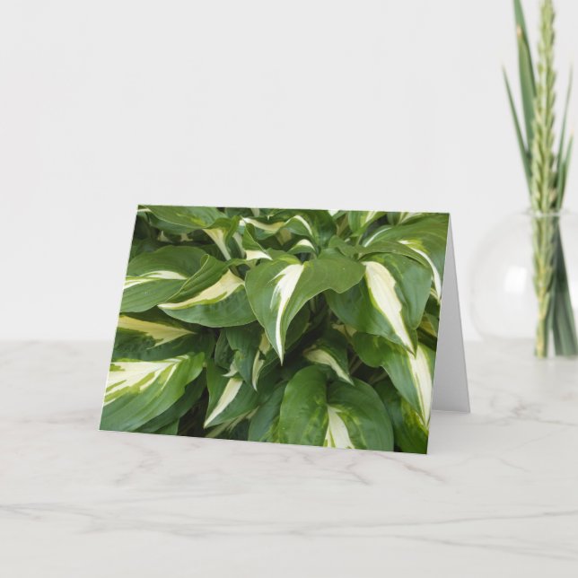 Tarjeta Hosta Leaves (Anverso)