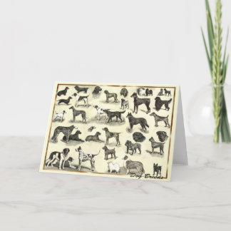 Tarjeta Hounds - Perro Raza para los amantes del perro can