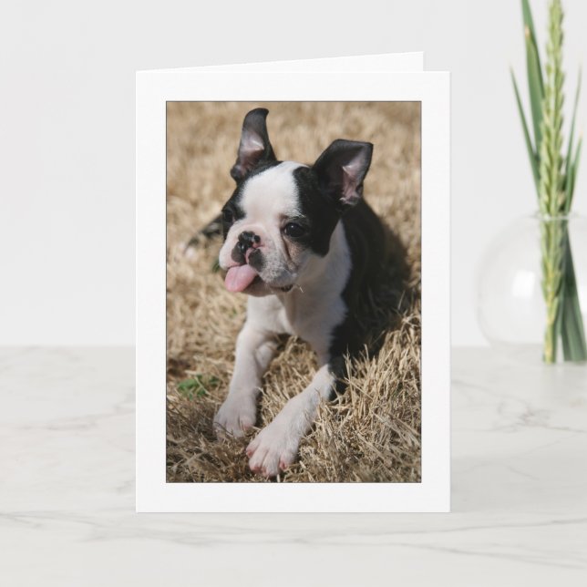 Tarjeta Howie se pega la lengua hacia fuera (Anverso)