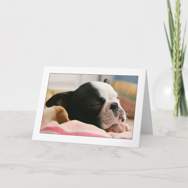 Tarjeta Howie Sleeping (Anverso)