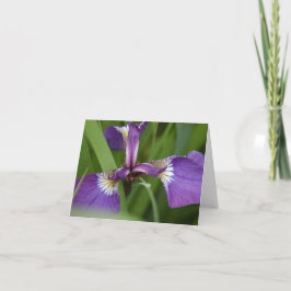 Tarjeta Hoy eres un saludo vibrante