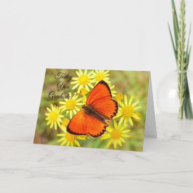 Tarjeta Hoy graduaste mariposa (Anverso)
