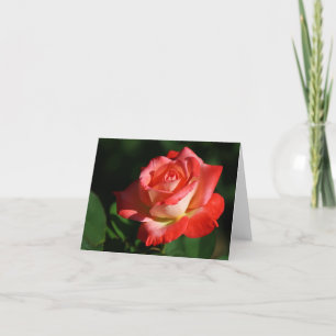 Tarjeta HRG Brigadoon Rose 2014 130