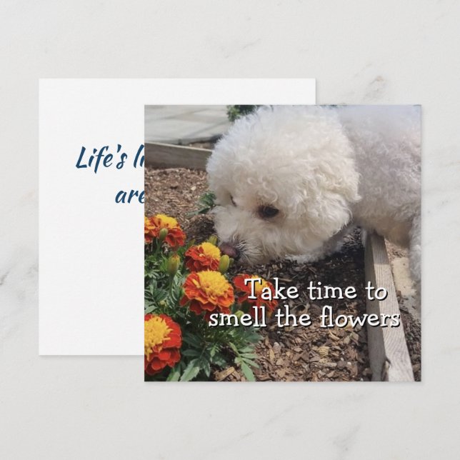Tarjeta Huele las Flores (Anverso / Reverso)