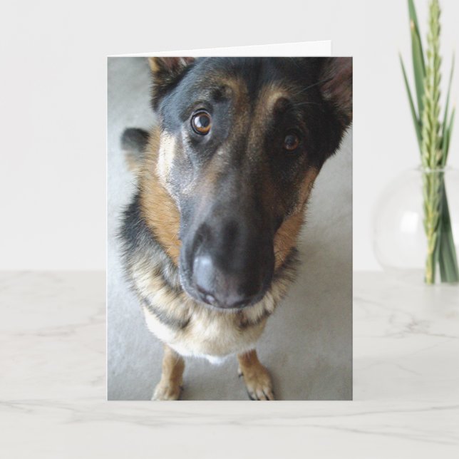 Tarjeta ¿Huelo pastel? Deseos de cumpleaños... (Anverso)