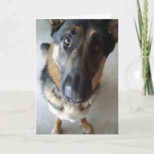 Tarjeta ¿Huelo pastel?  Deseos de cumpleaños...