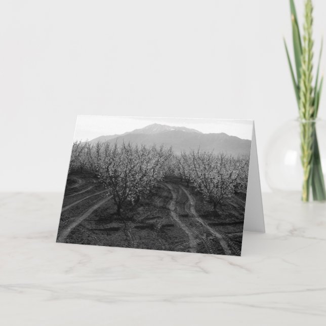 Tarjeta Huertas en la prohibición de las alturas, Mt. San (Anverso)