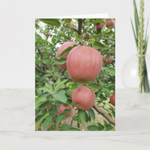 Tarjeta Huerto de manzanas de otoño