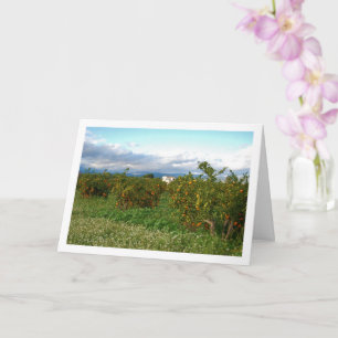 Tarjeta Huerto de Naranjos, Valencia, España