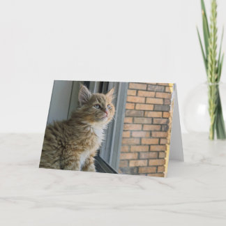 Tarjeta Huey mira al mundo