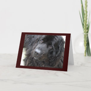 Tarjeta hugo de ojos marrones