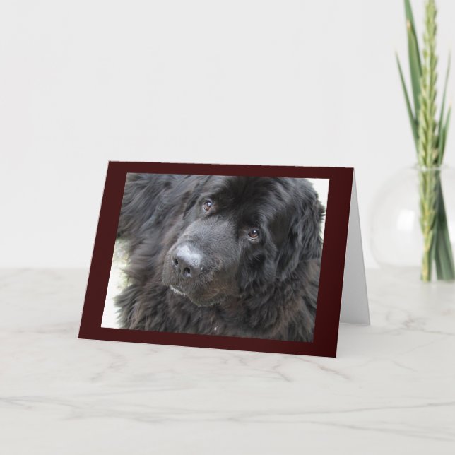 Tarjeta hugo de ojos marrones (Anverso)