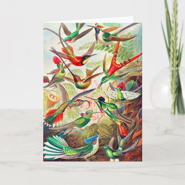 Tarjeta Humanidades de 1904 (Anverso)