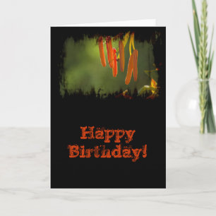 Tarjeta Humboldt Lily Stamens Cumpleaños