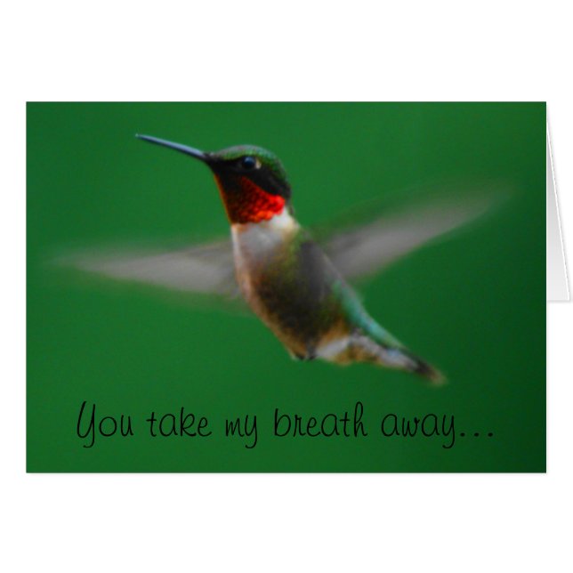 Tarjeta Hummingbird (Anverso (Horizontal))