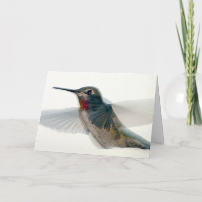 Tarjeta Hummingbird (Anverso)