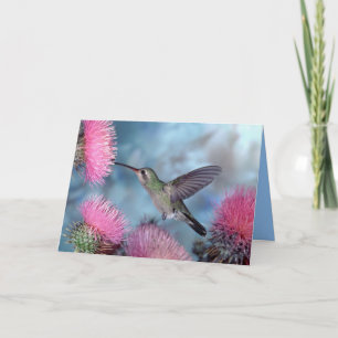Tarjeta Hummingbird