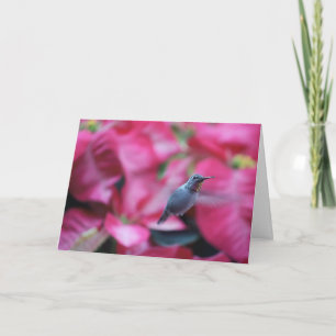 Tarjeta Hummingbird con fondo de poinsettia