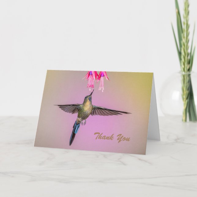 Tarjeta Hummingbird con Long Tail Gracias (Anverso)