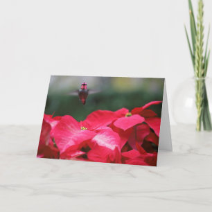 Tarjeta Hummingbird con Navidades poinsettias