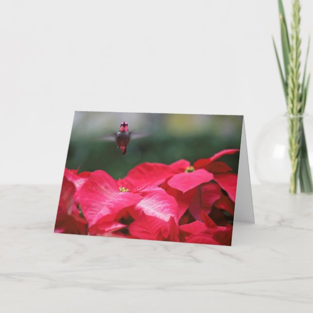 Tarjeta Hummingbird con Navidades poinsettias (Anverso)