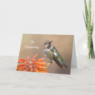 Tarjeta Hummingbird de Anna en la simpatía de Naranja Aloe