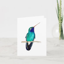 Tarjeta Hummingbird de factura amplia
