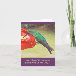 TARJETA HUMMINGBIRD EN FEEDER/LAS COSAS ESTÁN HUMMMIENDO A
