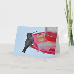 Tarjeta Hummingbird en Frozen Feeder - Cartas de Arte Fram