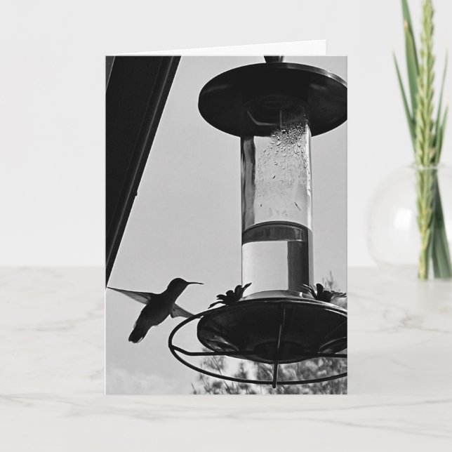 Tarjeta Hummingbird feeder (Anverso)
