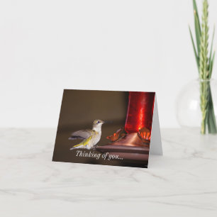 Tarjeta Hummingbird Femenino Runguero Pensando En Ti