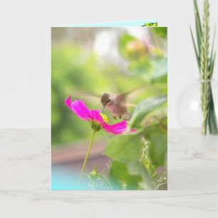 Tarjeta Hummingbird Floral de animales salvajes