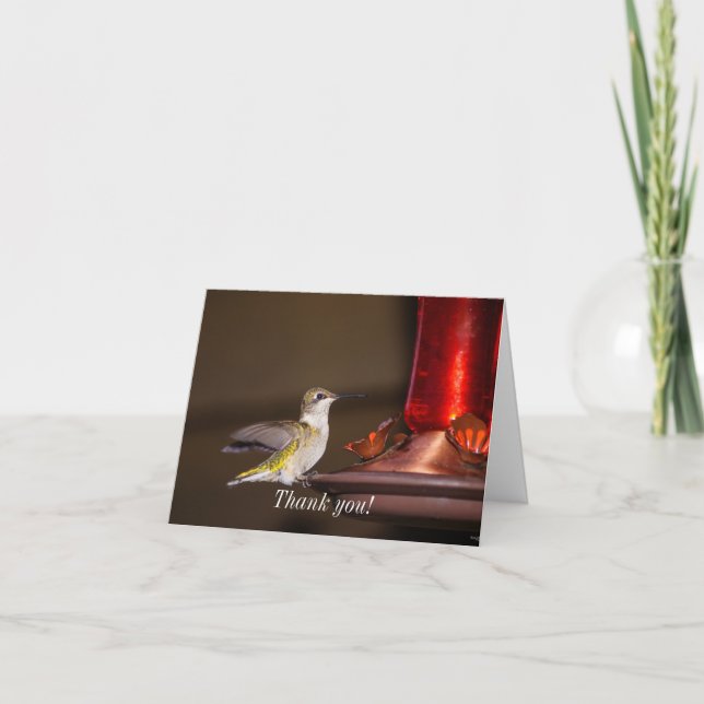 Tarjeta Hummingbird hembra con gotas de rubí (Anverso)