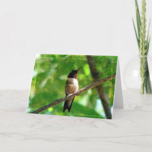 Tarjeta Hummingbird Mañana