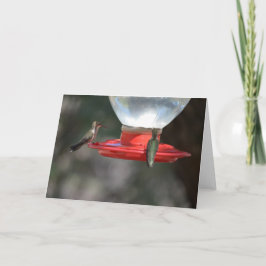 Tarjeta Hummingbird Notecard