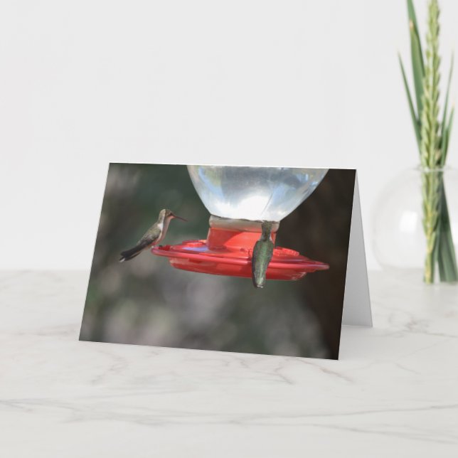 Tarjeta Hummingbird Notecard (Anverso)