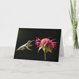 Tarjeta Hummingbird Pensando en ti