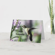 Hummingbird Pink Floral Wildlife Photo Sympathy