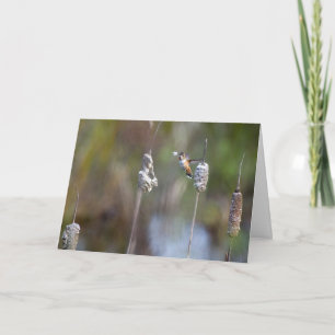 Tarjeta Hummingbird Recolectando Cattail Notecard