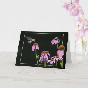 Tarjeta Hummingbird Y Bee Share Coneflower