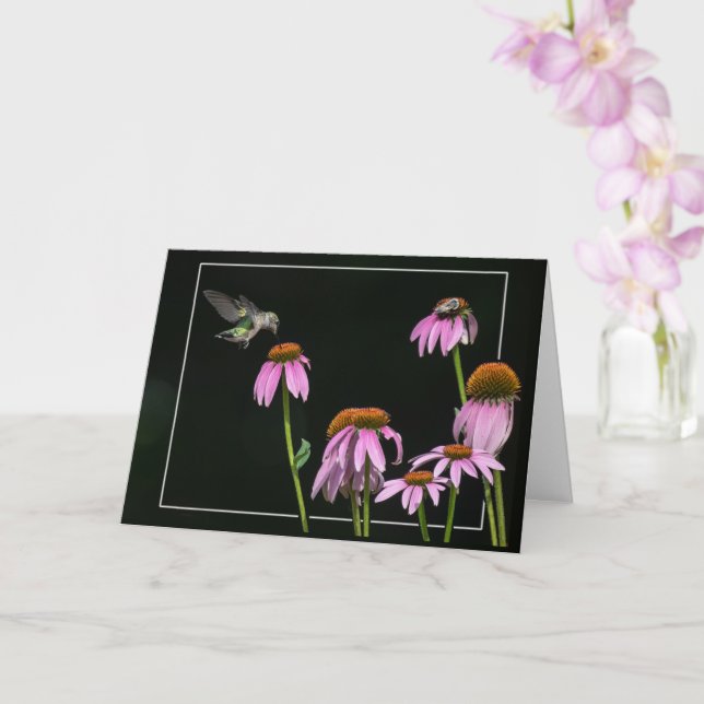 Tarjeta Hummingbird Y Bee Share Coneflower (Orquídea)
