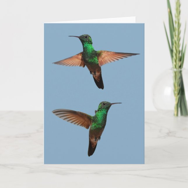 Tarjeta Hummingbirds (Anverso)