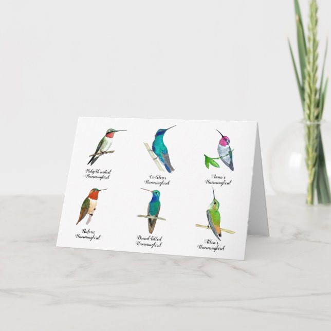 Tarjeta Hummingbirds Norteamericana (Anverso)