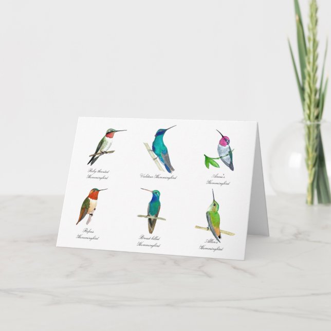 Tarjeta Hummingbirds Norteamericana (Anverso)
