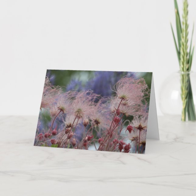 Tarjeta Humo de pradera (Anverso)