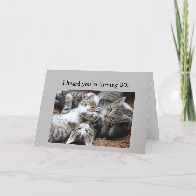 Tarjeta Humor animal de gato gatito divertido de cumpleaño (Anverso)